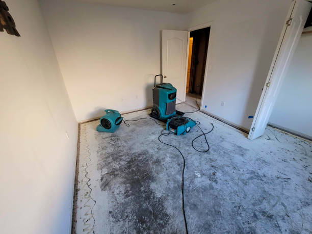 Best Water damage restoration services  in Spring Grove, IL