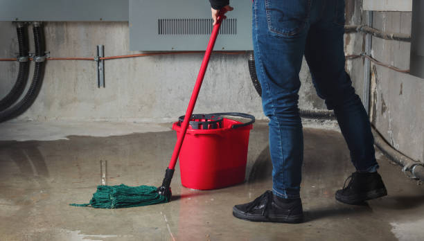 Spring Grove, IL Water damage restoration Company