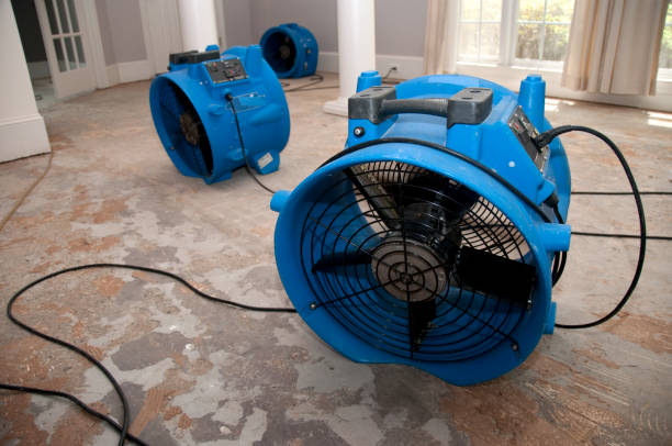 Best Residential water damage restoration  in Spring Grove, IL