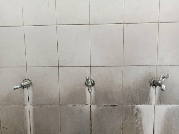 Best Sewage cleanup and water damage restoration  in Spring Grove, IL