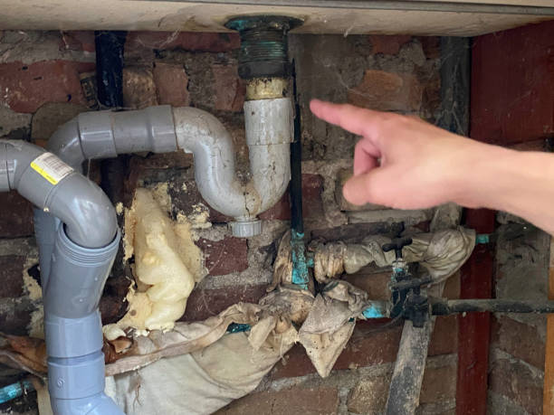 Best Professional water damage repair  in Spring Grove, IL