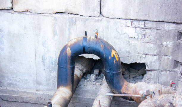 Best Flooded house restoration  in Spring Grove, IL