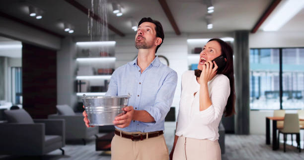 Best Carpet water damage restoration  in Spring Grove, IL